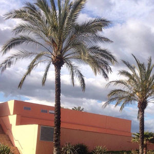 吴燕妮裸乳被爆❌白浆小说o
