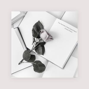 吴燕妮裸乳被爆❌白浆小说o
